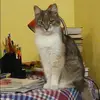 Отзыв от Лада Рябинина